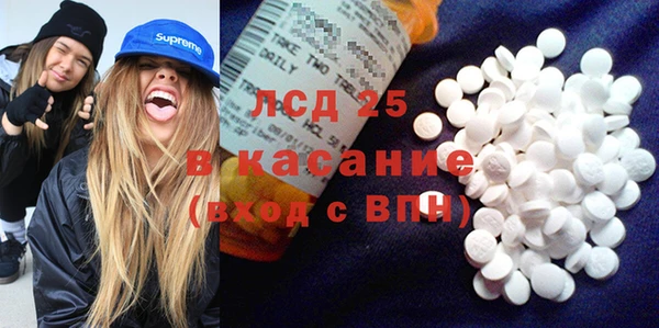 сатива Армянск