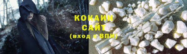 сатива Армянск