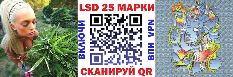 купить Белокуриха Марки N-bome 1,8мг