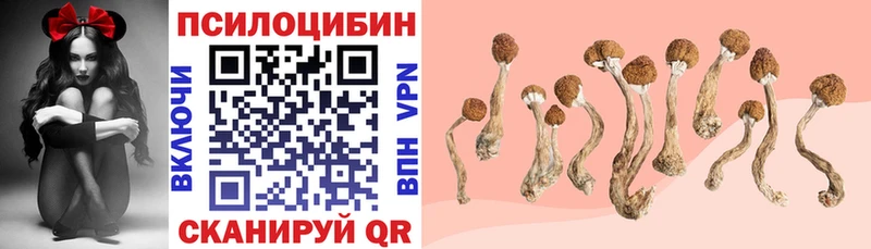 даркнет сайт  Белокуриха  мега зеркало  Галлюциногенные грибы GOLDEN TEACHER 